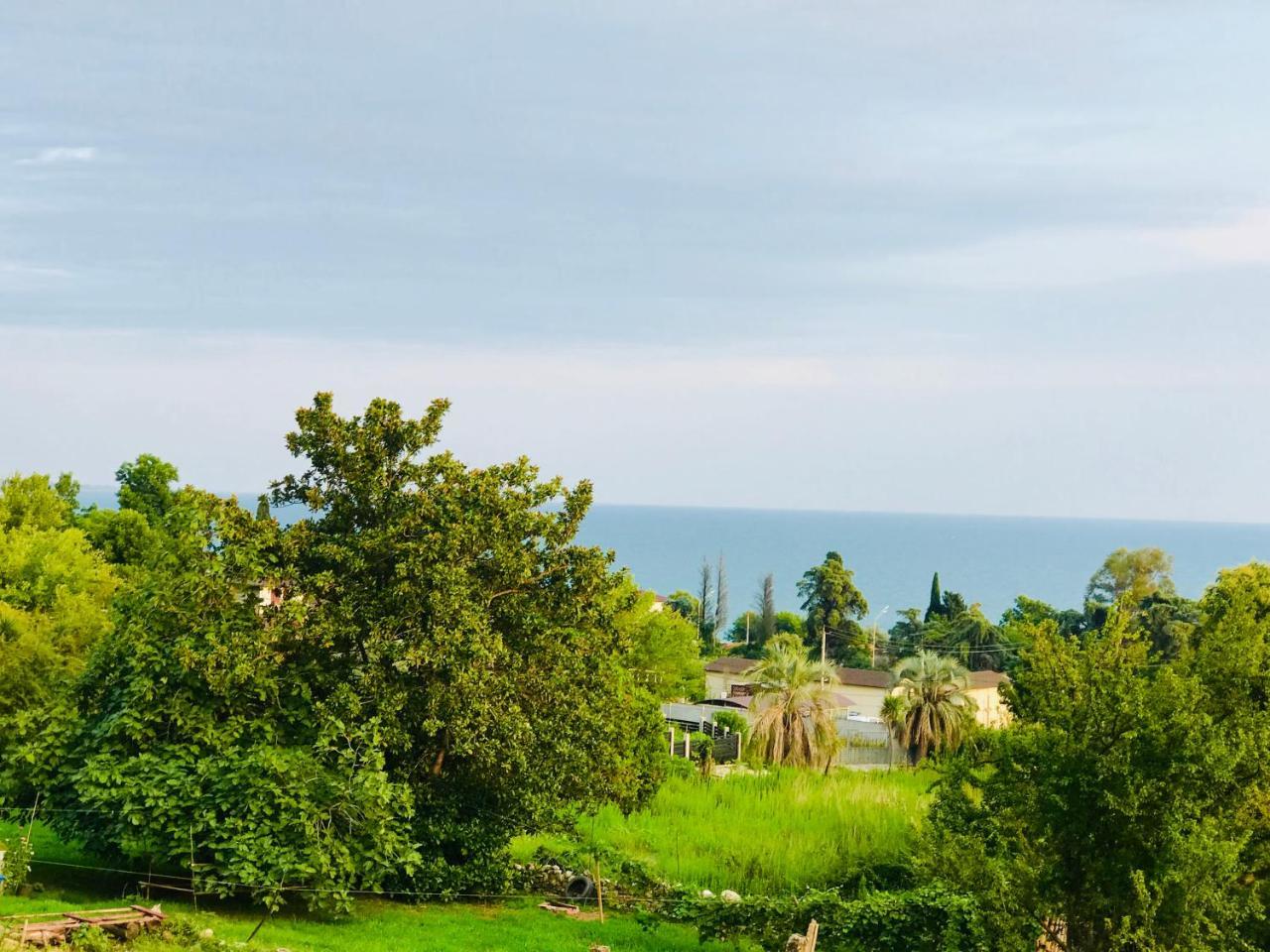 Palm Hotel New Athos Bagian luar foto