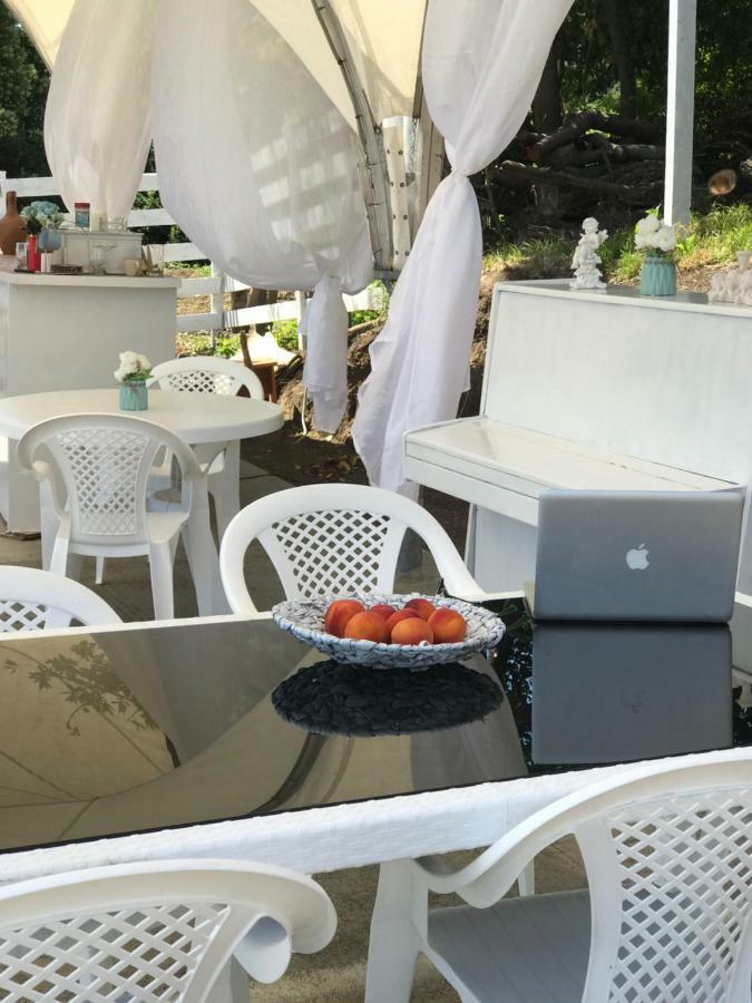 Palm Hotel New Athos Bagian luar foto